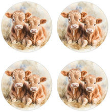 Load image into Gallery viewer, Ceramic Coasters
