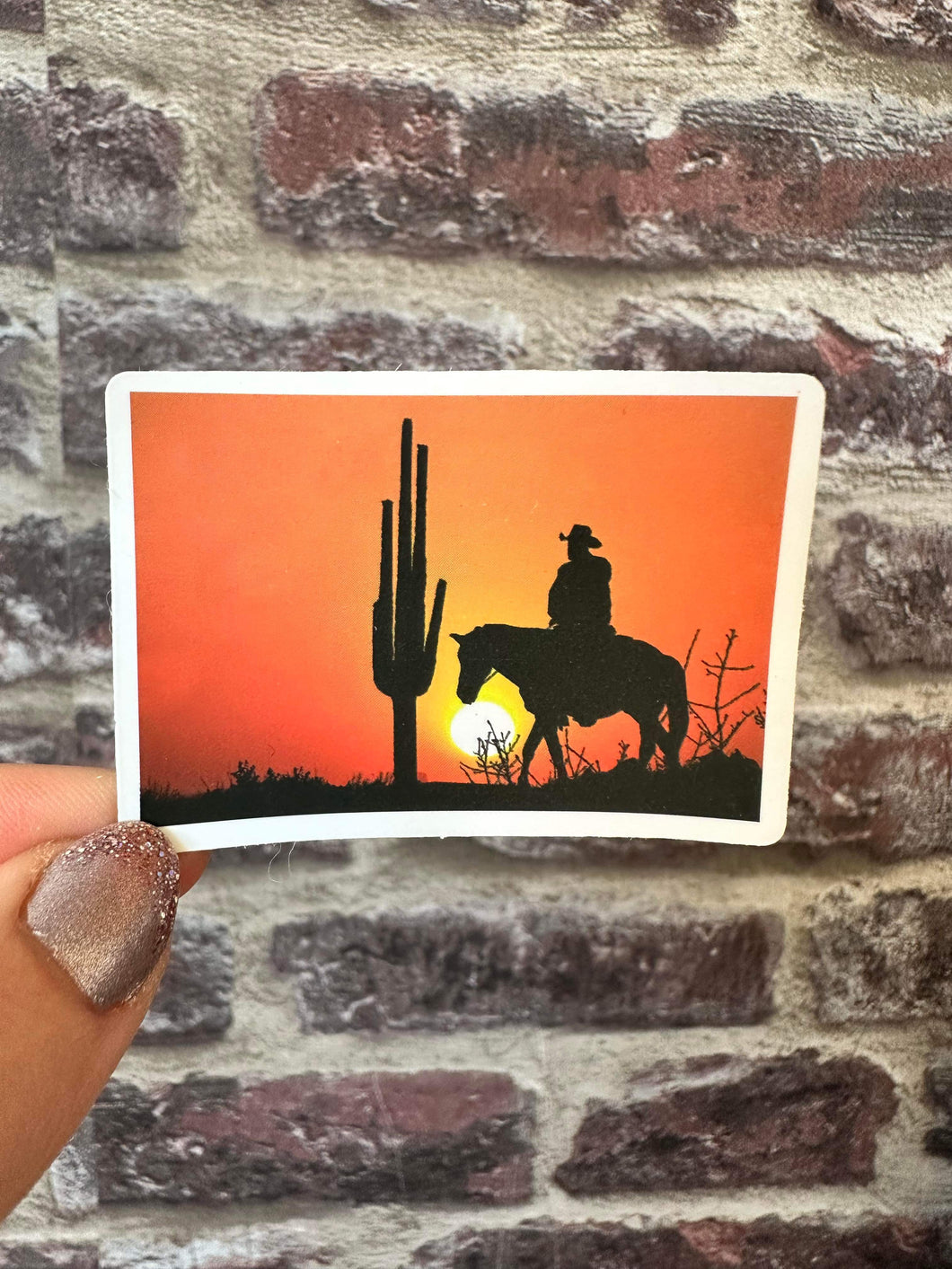 Rodeo Sticker - 41