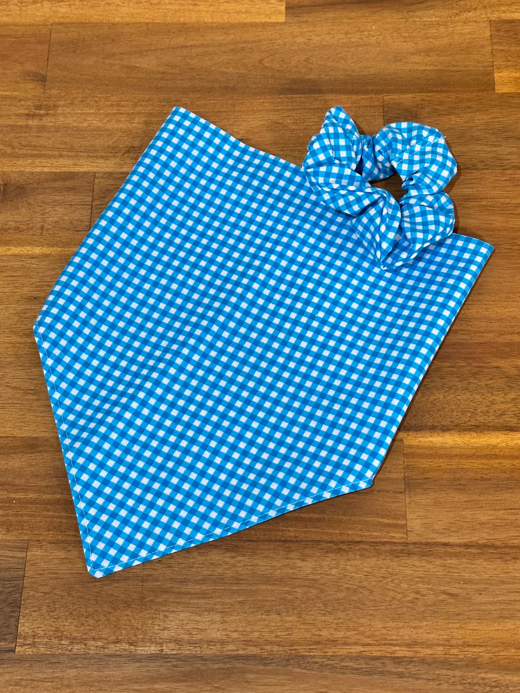 Neck Scarf & Scrunchie - Blue Gingham