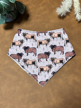 Load image into Gallery viewer, Bibs &amp; Sets - Brahmans
