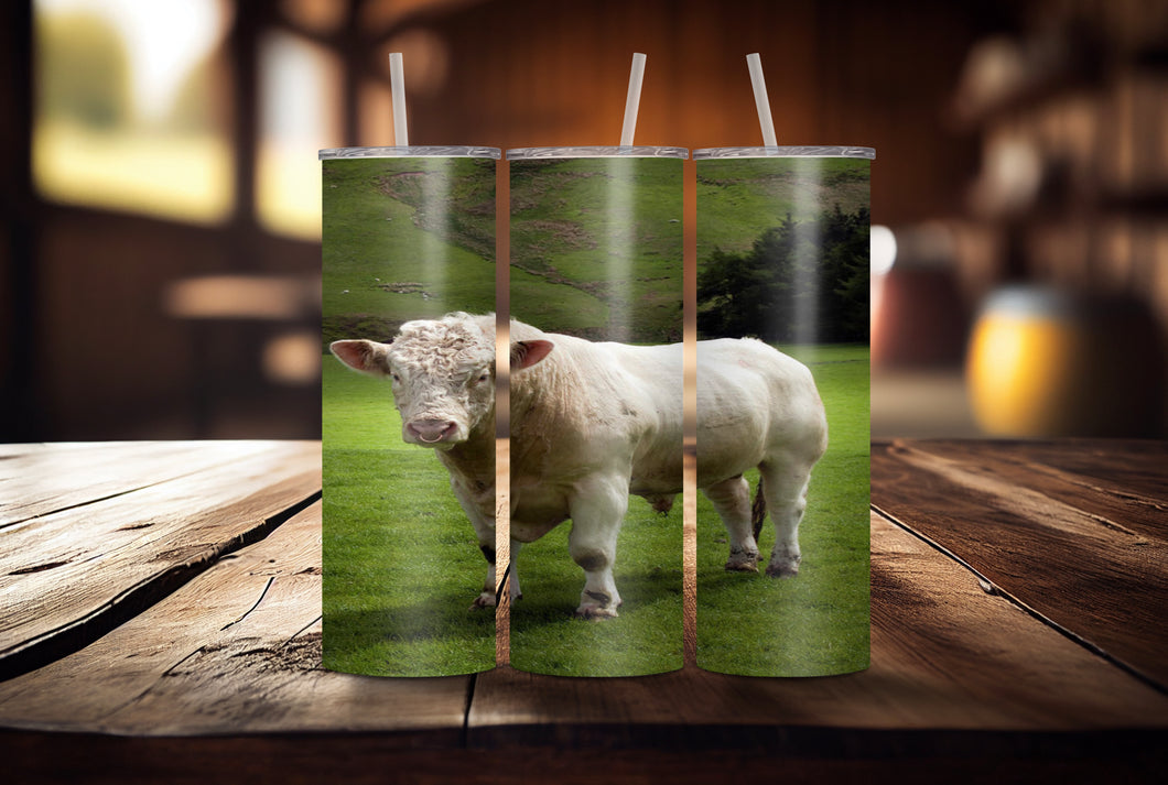 Charolais Tumbler