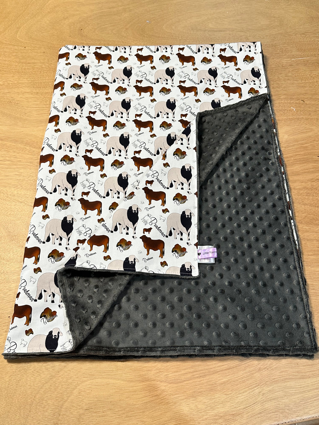 PRE-ORDER Minky Blanket - Brahman