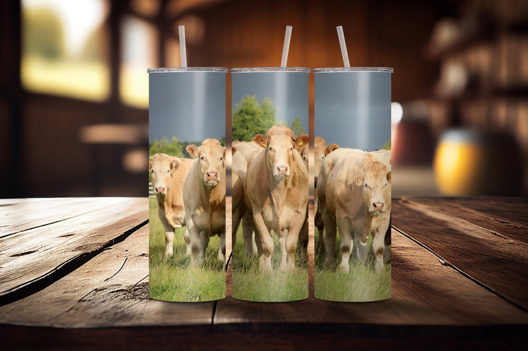 Charolais Herd Tumbler