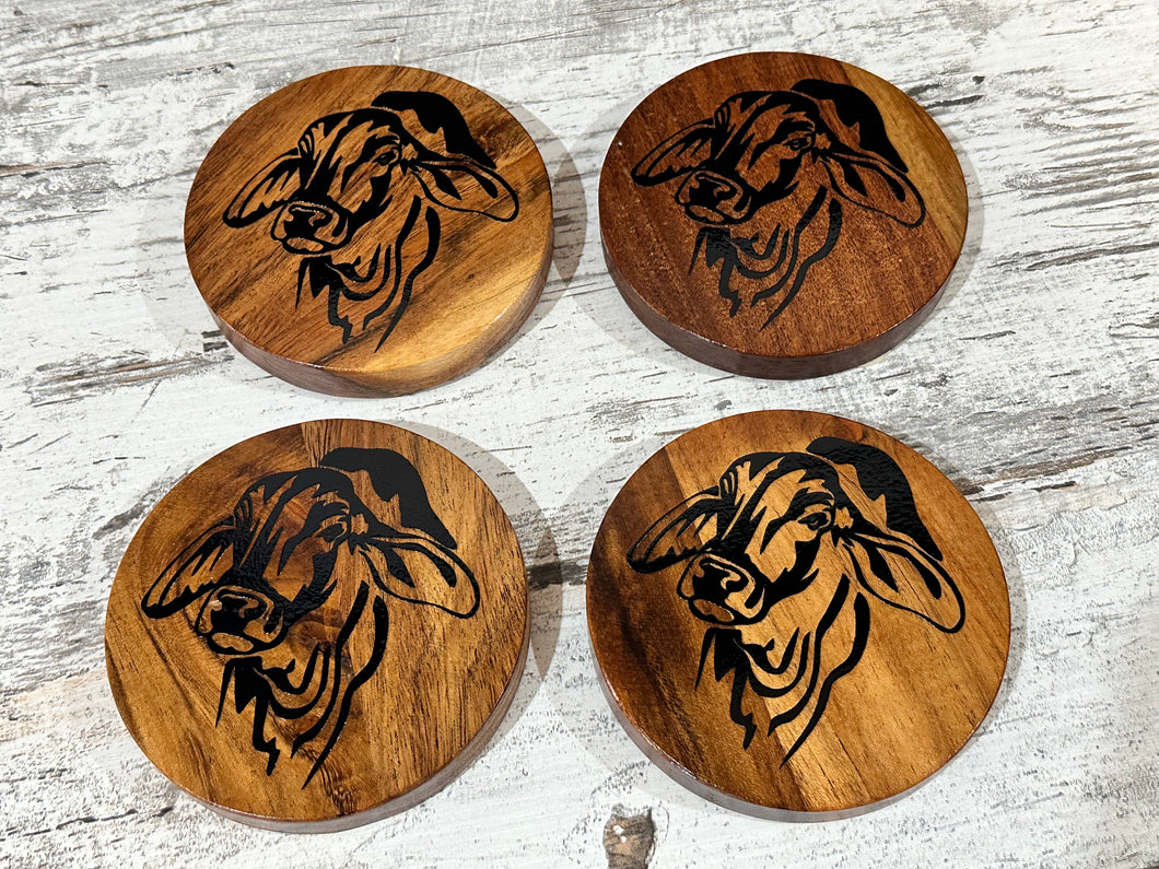 Brahman Head Coasters