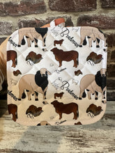 Load image into Gallery viewer, Insulated Pot Holder - Brahman Design
