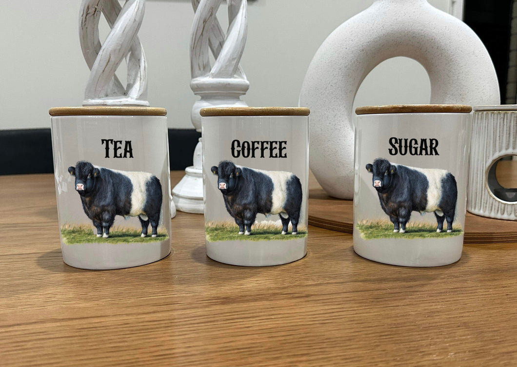 Country Storage Canisters - Belted Galloway Collection