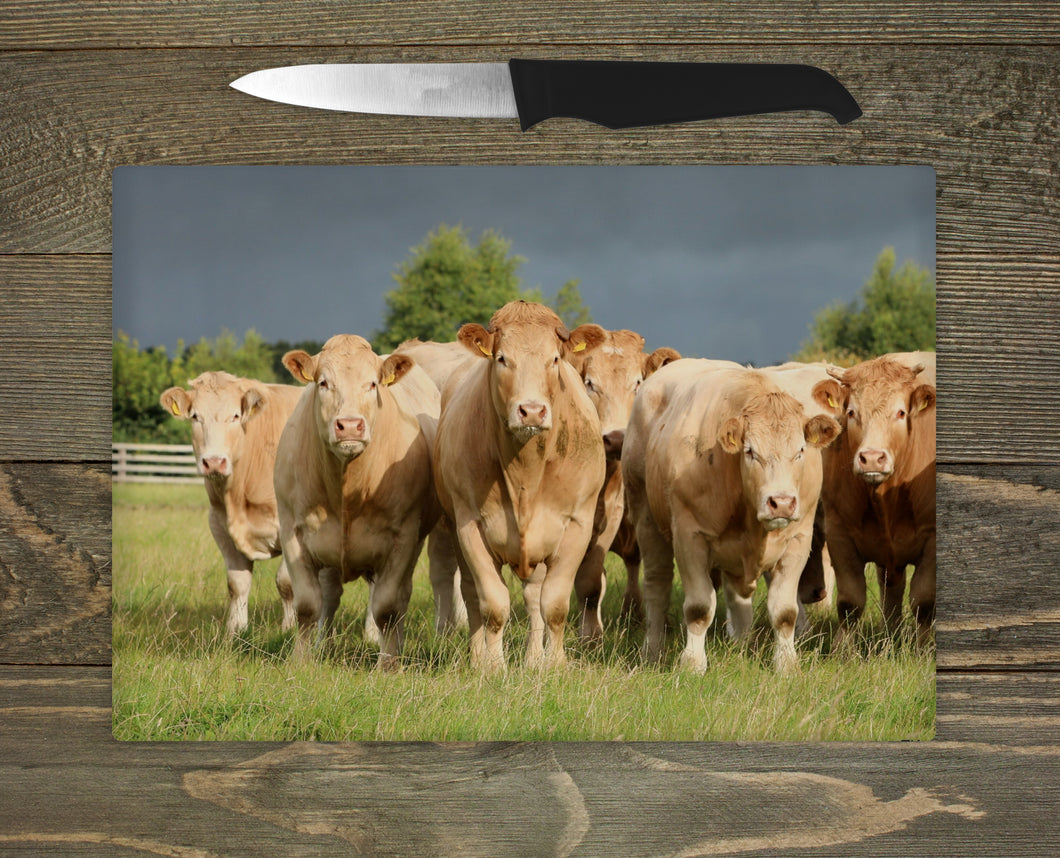 Glass Chopping Board - Charolais