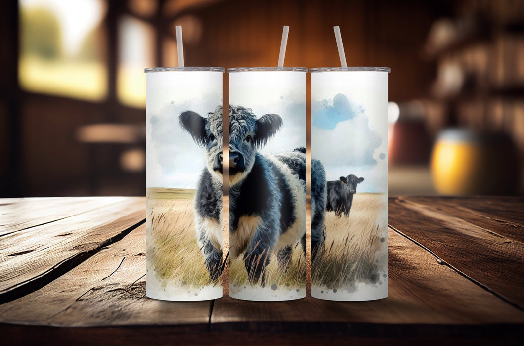 Belted Galloway Tumbler