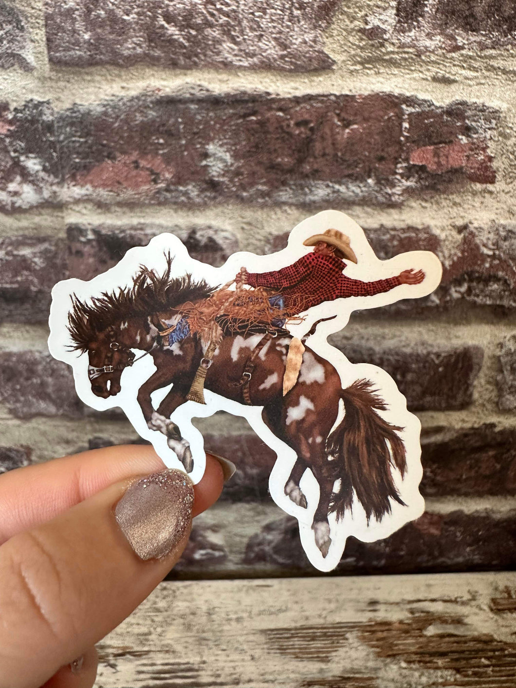 Rodeo Sticker - 4