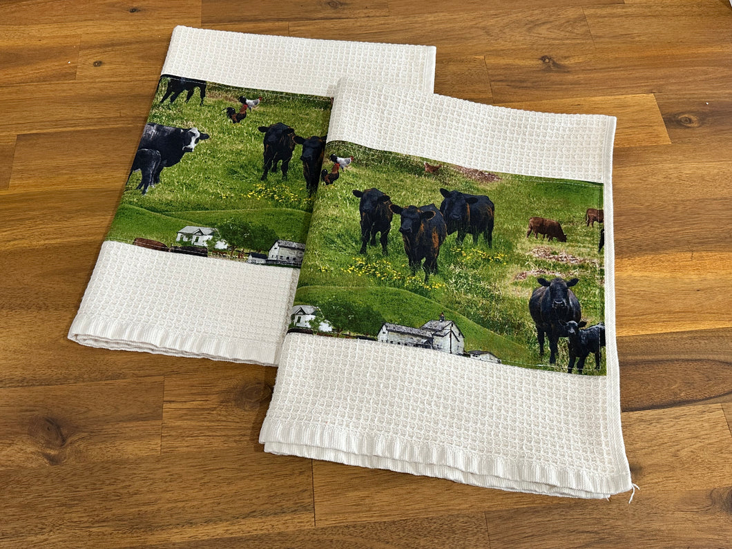 Tea Towel Set - Black Angus