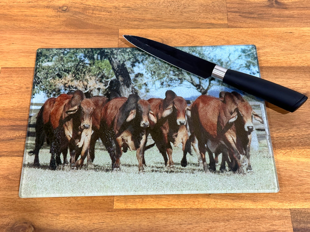 Glass Chopping Board - Red Brahman Bulls