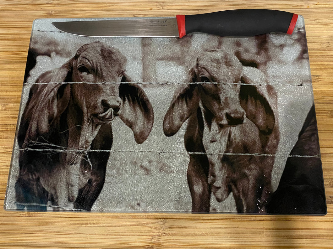 Glass Chopping Board - Black & White Cows