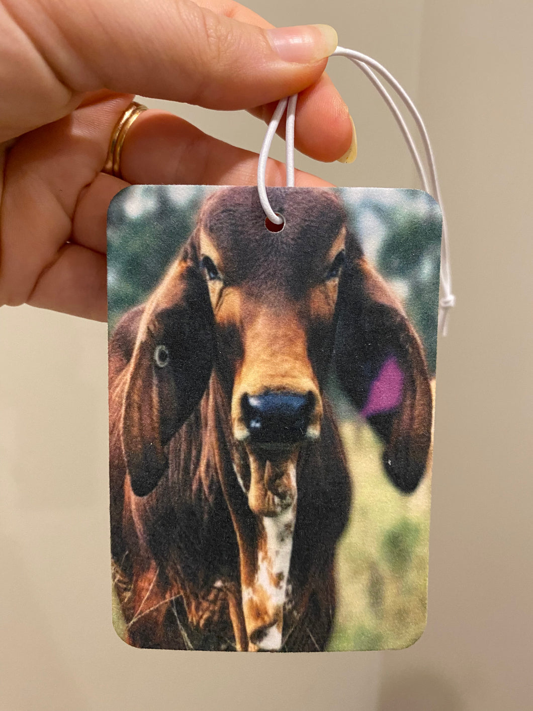 Car Air Freshener- Brahman