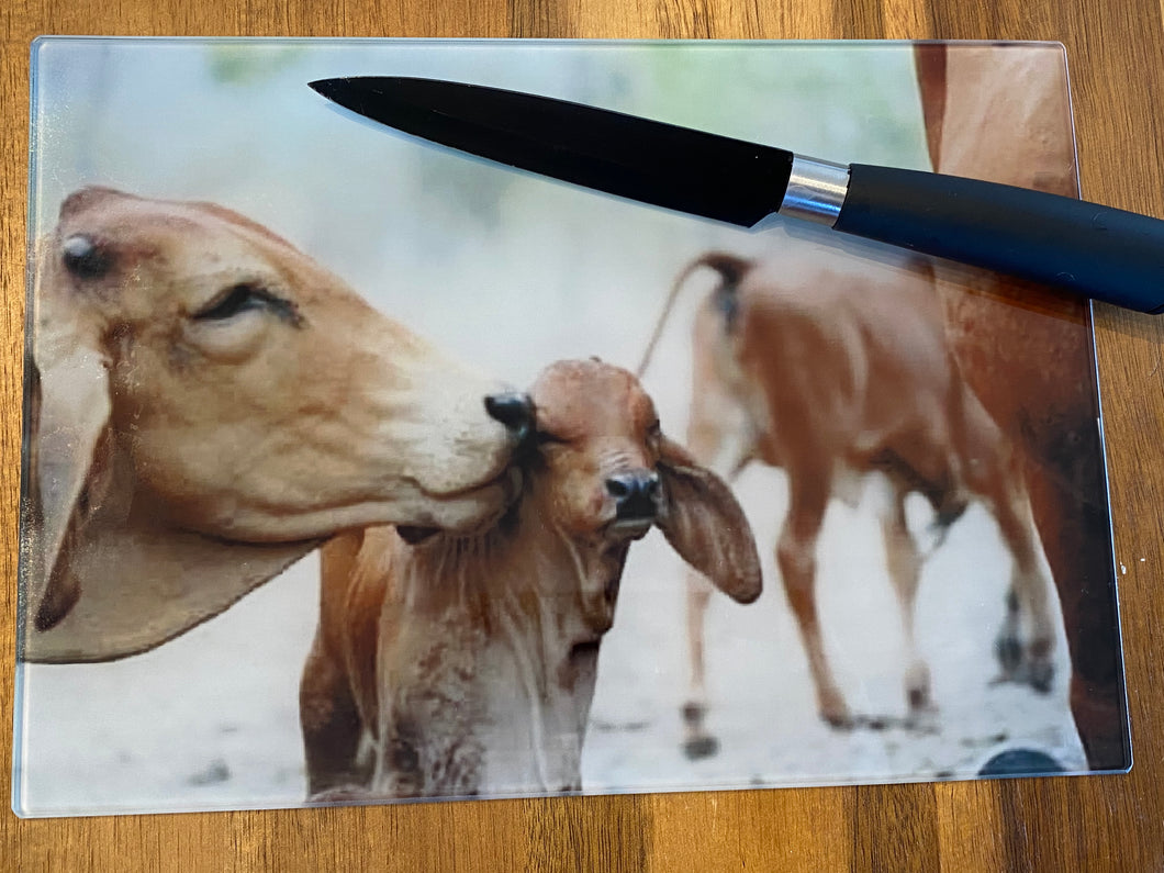 Glass Chopping Board - Cow Kisses